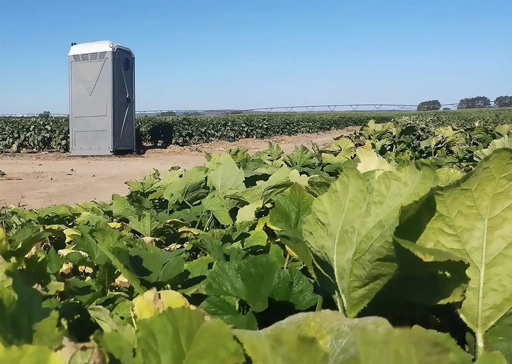 WC Sanitário standard para obras e instalações agrícolas